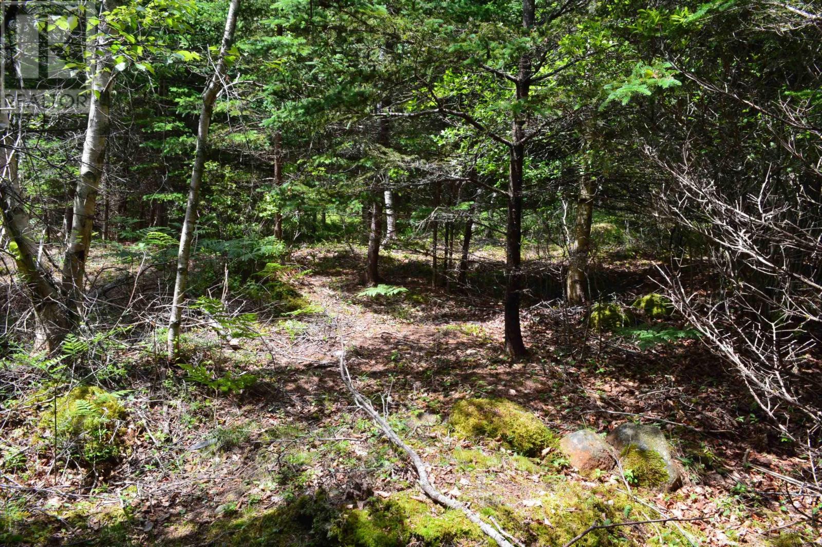 Lot Portion Of 60169216 Blue Rocks Road, Garden Lots, Nova Scotia  B0J 2C0 - Photo 32 - 202511266