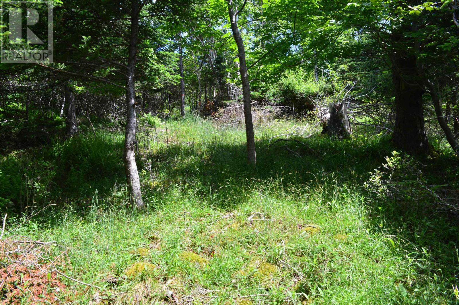 Lot 2 Pid 60169216 Blue Rocks Road, Garden Lots, Nova Scotia  B0J 2C0 - Photo 23 - 202511266