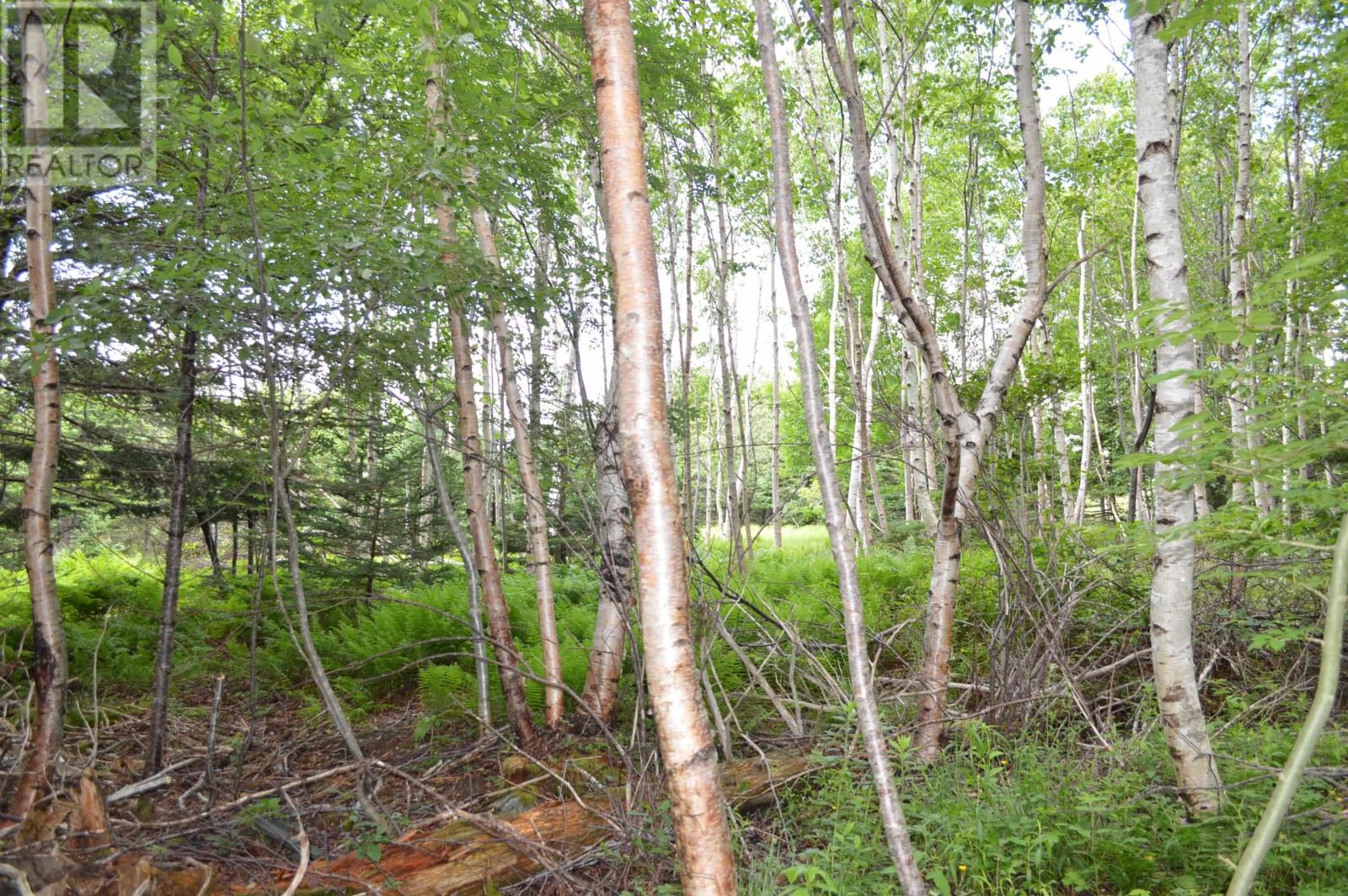 Lot 2 Pid 60169216 Blue Rocks Road, Garden Lots, Nova Scotia  B0J 2C0 - Photo 16 - 202511266