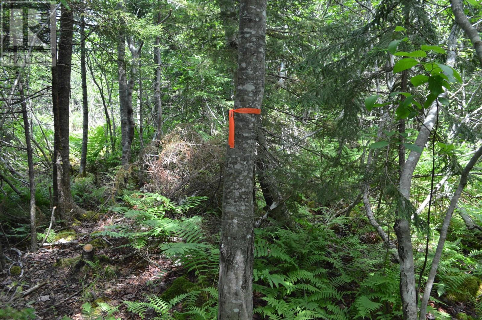 Lot 2 Pid 60169216 Blue Rocks Road, Garden Lots, Nova Scotia  B0J 2C0 - Photo 38 - 202511266