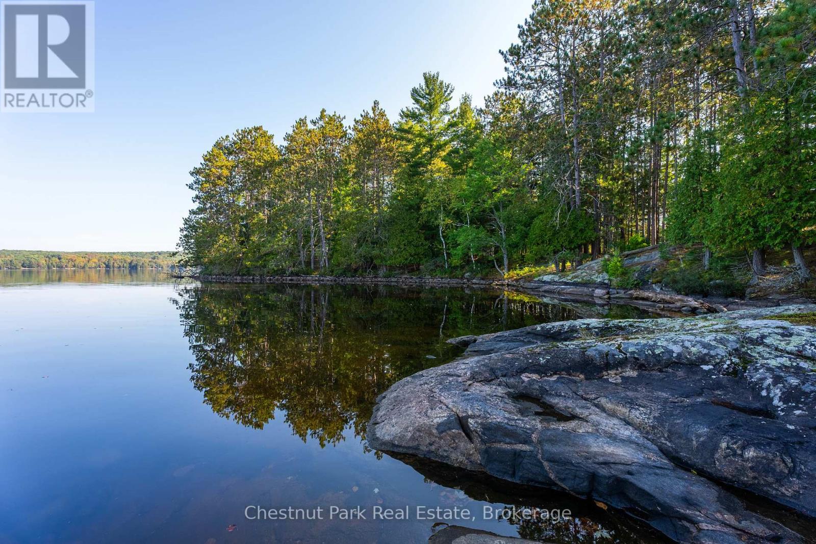 10000 Soyers - Brown Island, Minden Hills (Minden), Ontario  K0M 2K0 - Photo 23 - X12153843