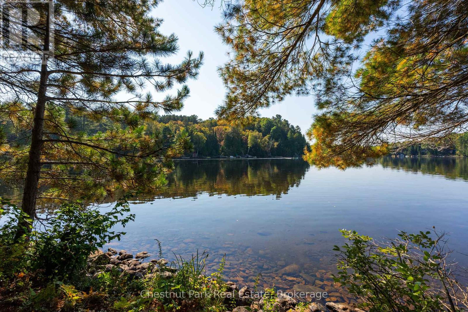 10000 Soyers - Brown Island, Minden Hills (Minden), Ontario  K0M 2K0 - Photo 26 - X12153843
