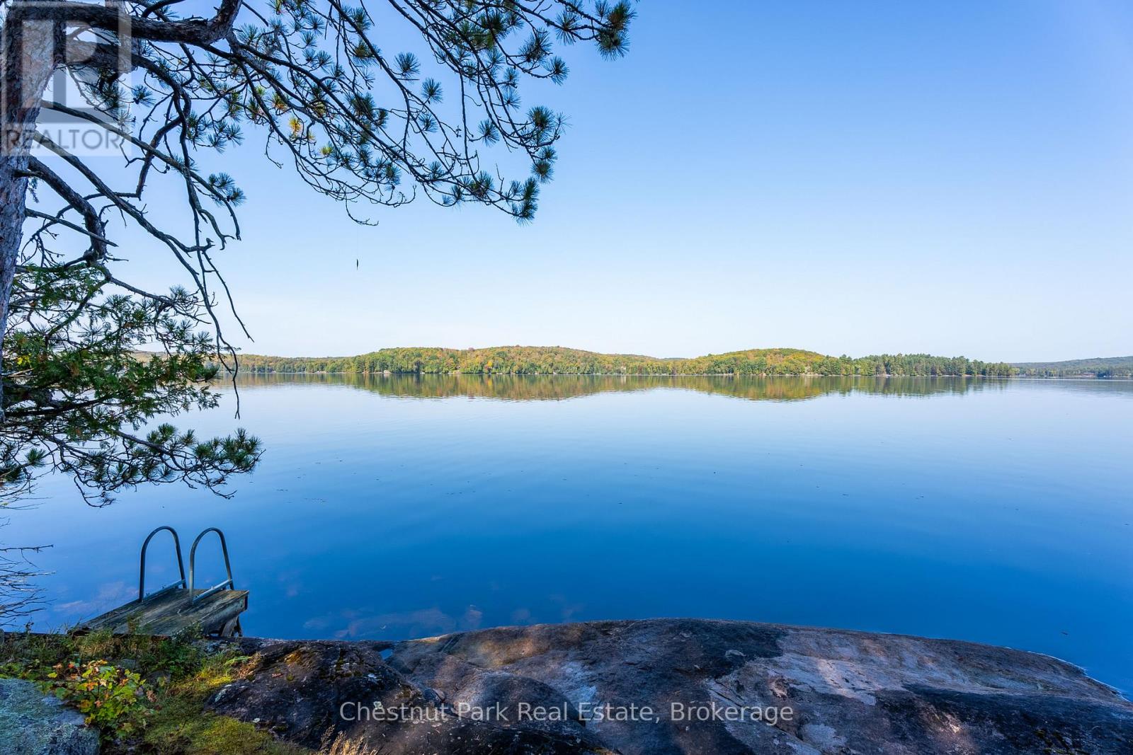 1000 Brown Island, Minden Hills, Ontario  K0M 2K0 - Photo 27 - X12153843