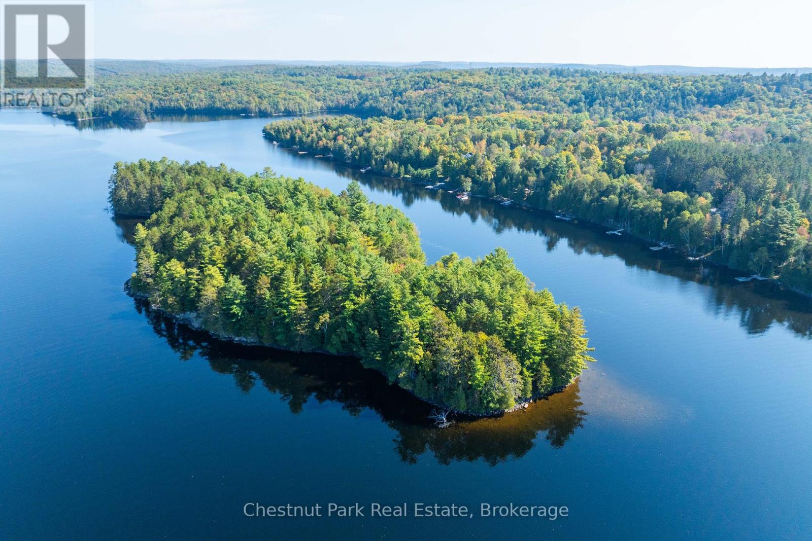 10000 Soyers - Brown Island, Minden Hills (Minden), Ontario  K0M 2K0 - Photo 28 - X12153843