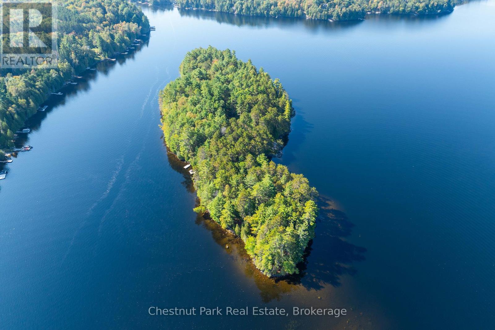 10000 Soyers - Brown Island, Minden Hills (Minden), Ontario  K0M 2K0 - Photo 29 - X12153843