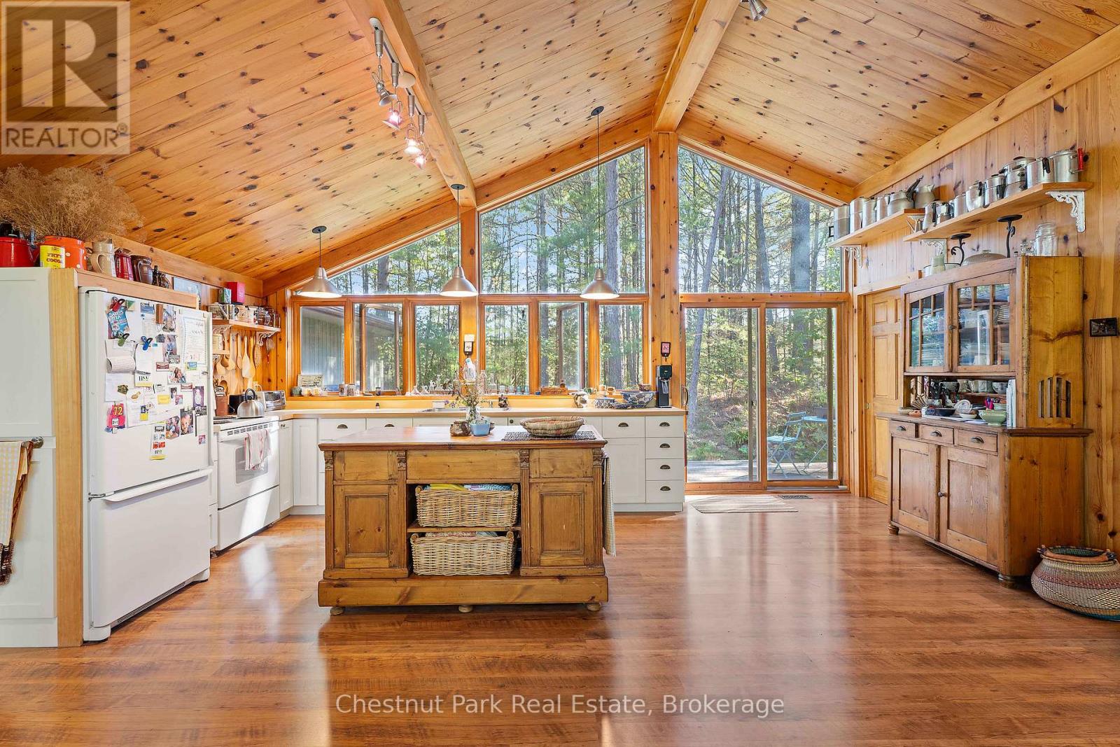 10000 Soyers - Brown Island, Minden Hills (Minden), Ontario  K0M 2K0 - Photo 6 - X12153843