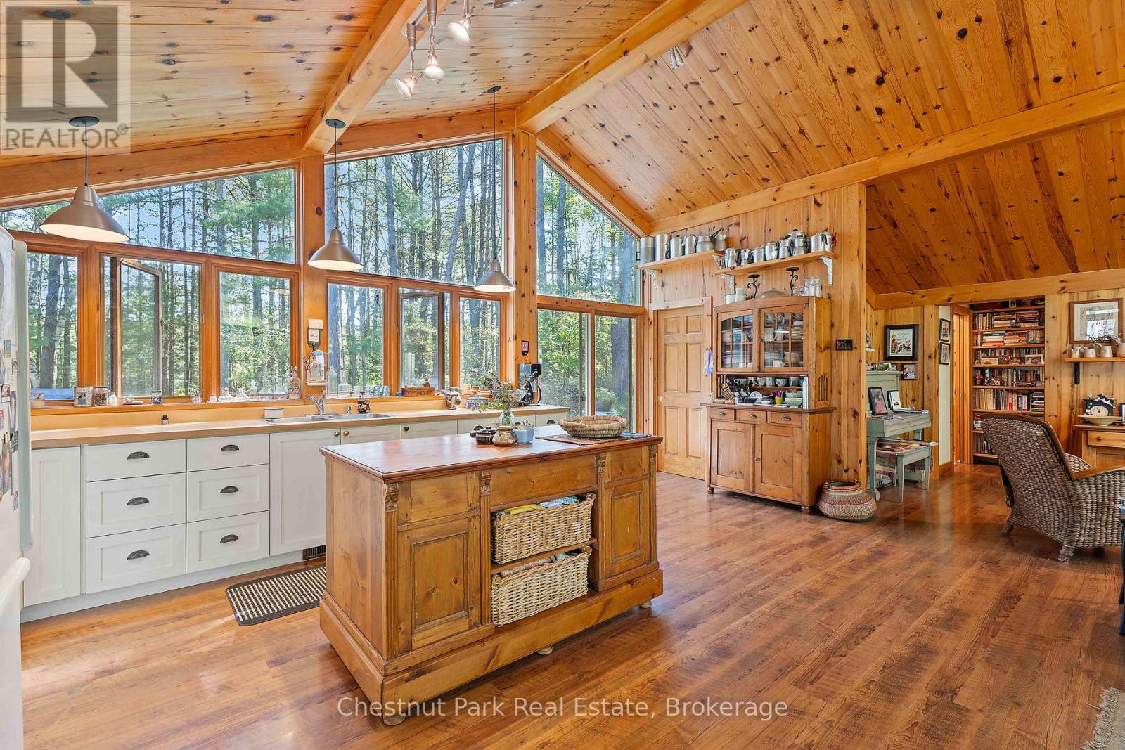 10000 Soyers - Brown Island, Minden Hills (Minden), Ontario  K0M 2K0 - Photo 7 - X12153843