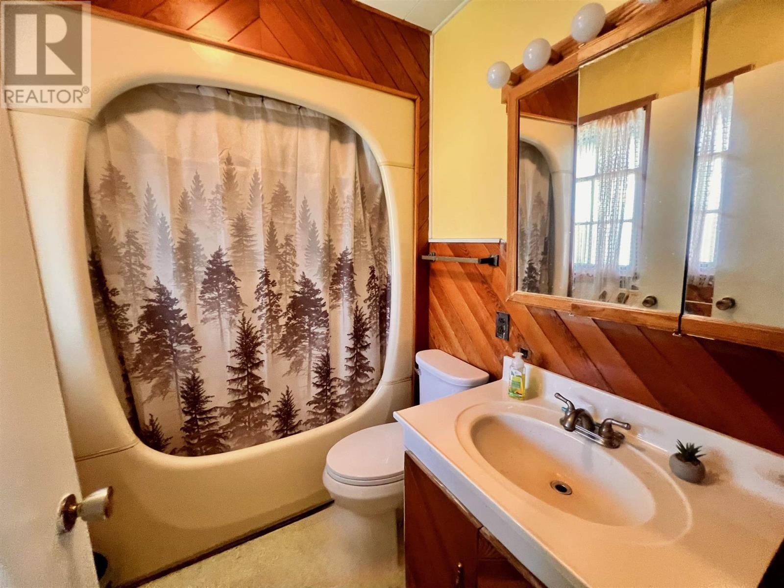 1132 Hillside Crescent, Kenora, Ontario  P9N 2X9 - Photo 7 - TB251208