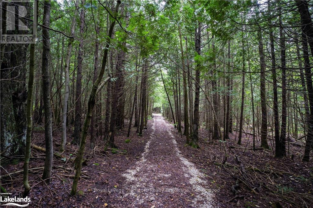 415040 10th Line, Blue Mountains, Ontario  N0H 2E0 - Photo 39 - X10440129
