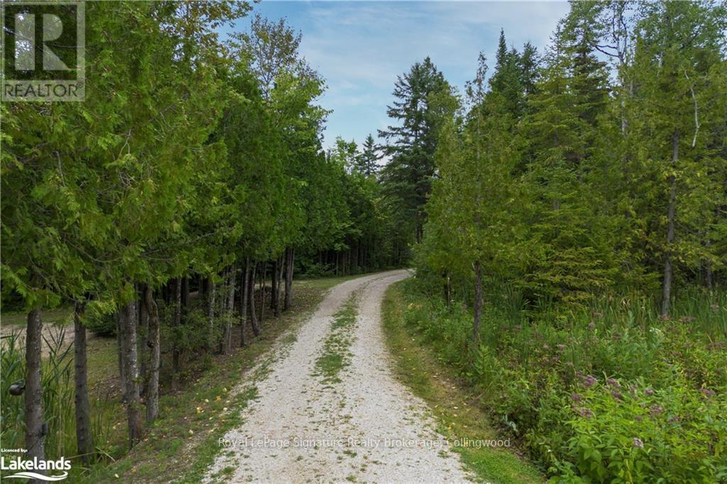 415040 10th Line, Blue Mountains, Ontario  N0H 2E0 - Photo 40 - X10440129