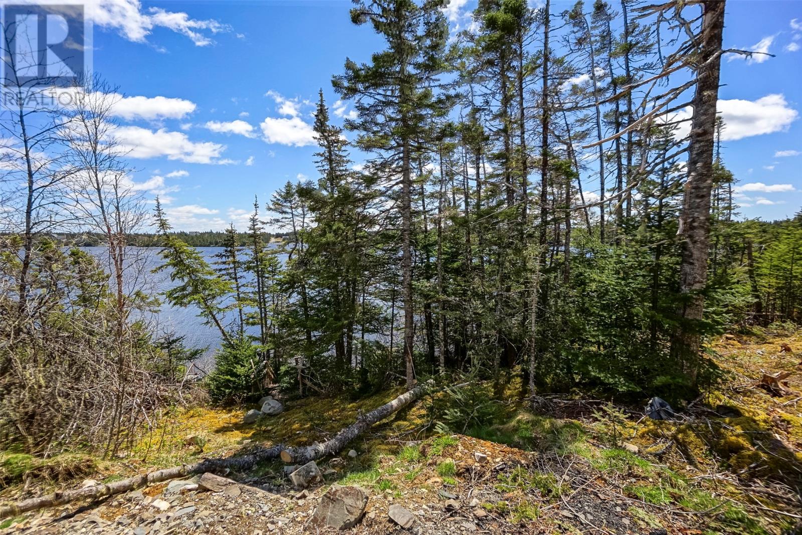 52 Little Goose Drive, Whitbourne, Newfoundland & Labrador  A0B 3K0 - Photo 23 - 1285097
