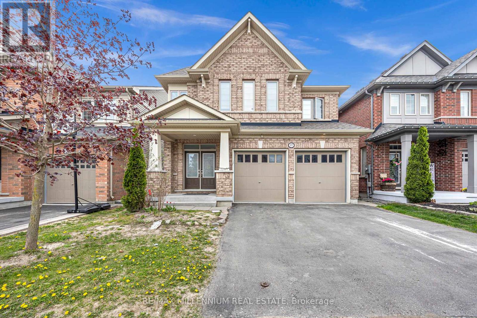 Bsmt - 177 Hyperion Court, Oshawa, Ontario  L1L 0K1 - Photo 1 - E12152593