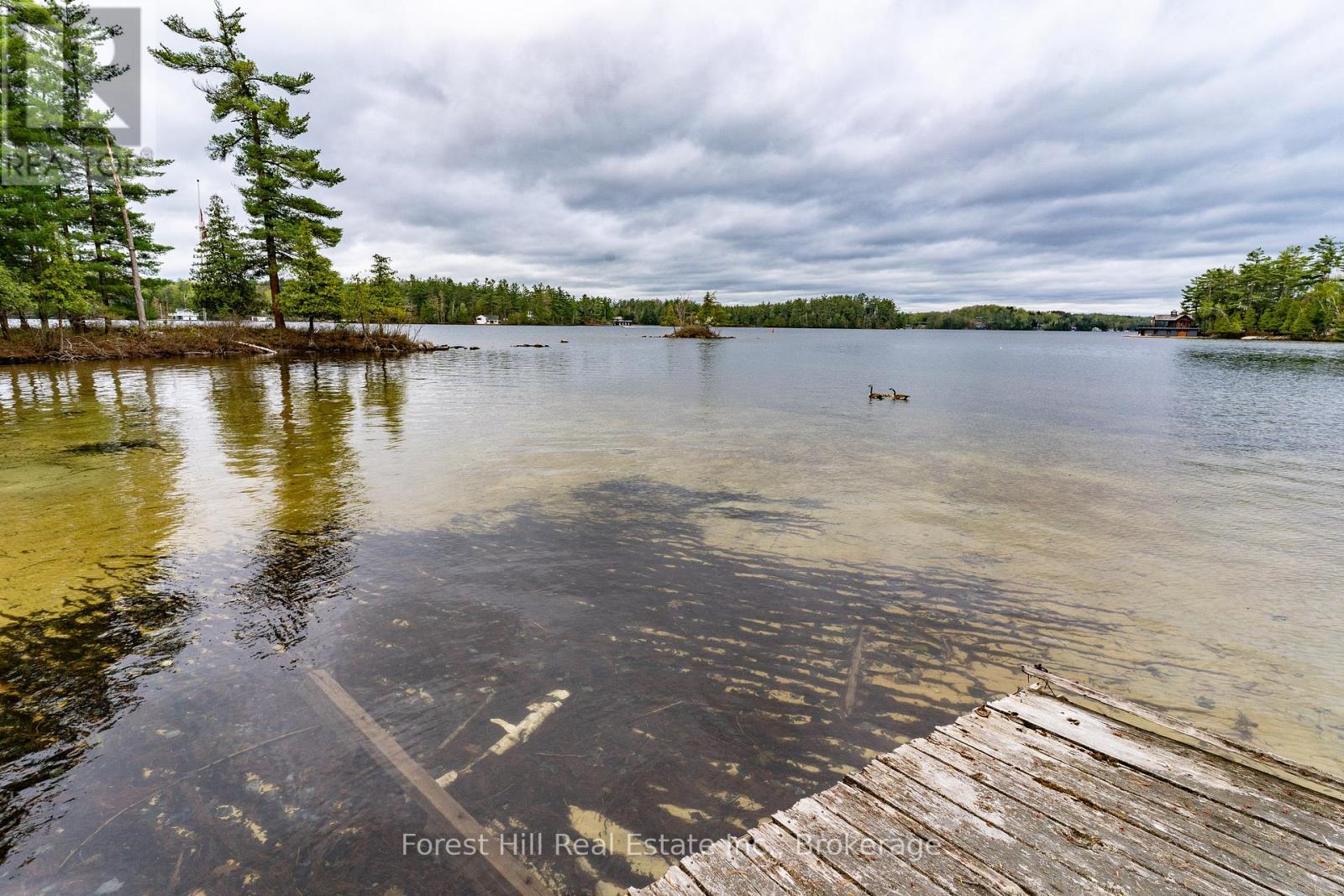 1286 Hemlock Point Road, Muskoka Lakes, Ontario  P0B 1J0 - Photo 4 - X12154119