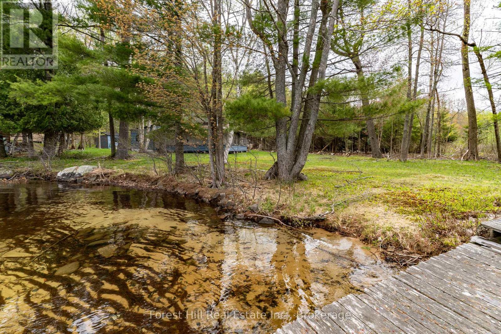 1286 Hemlock Point Road, Muskoka Lakes, Ontario  P0B 1J0 - Photo 5 - X12154119