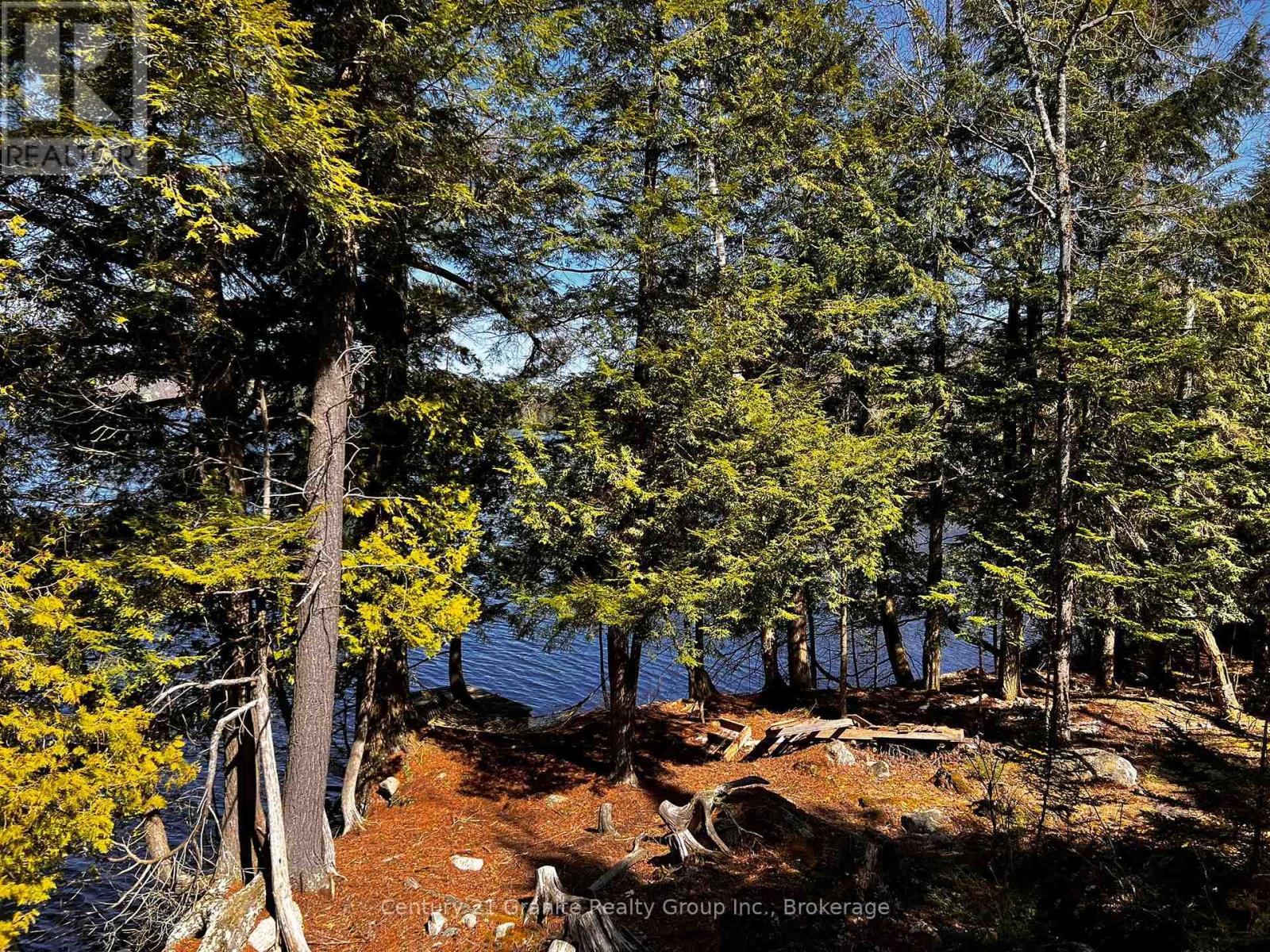 1208 Reg's Trail, Dysart Et Al, Ontario  K0M 1S0 - Photo 40 - X12151591