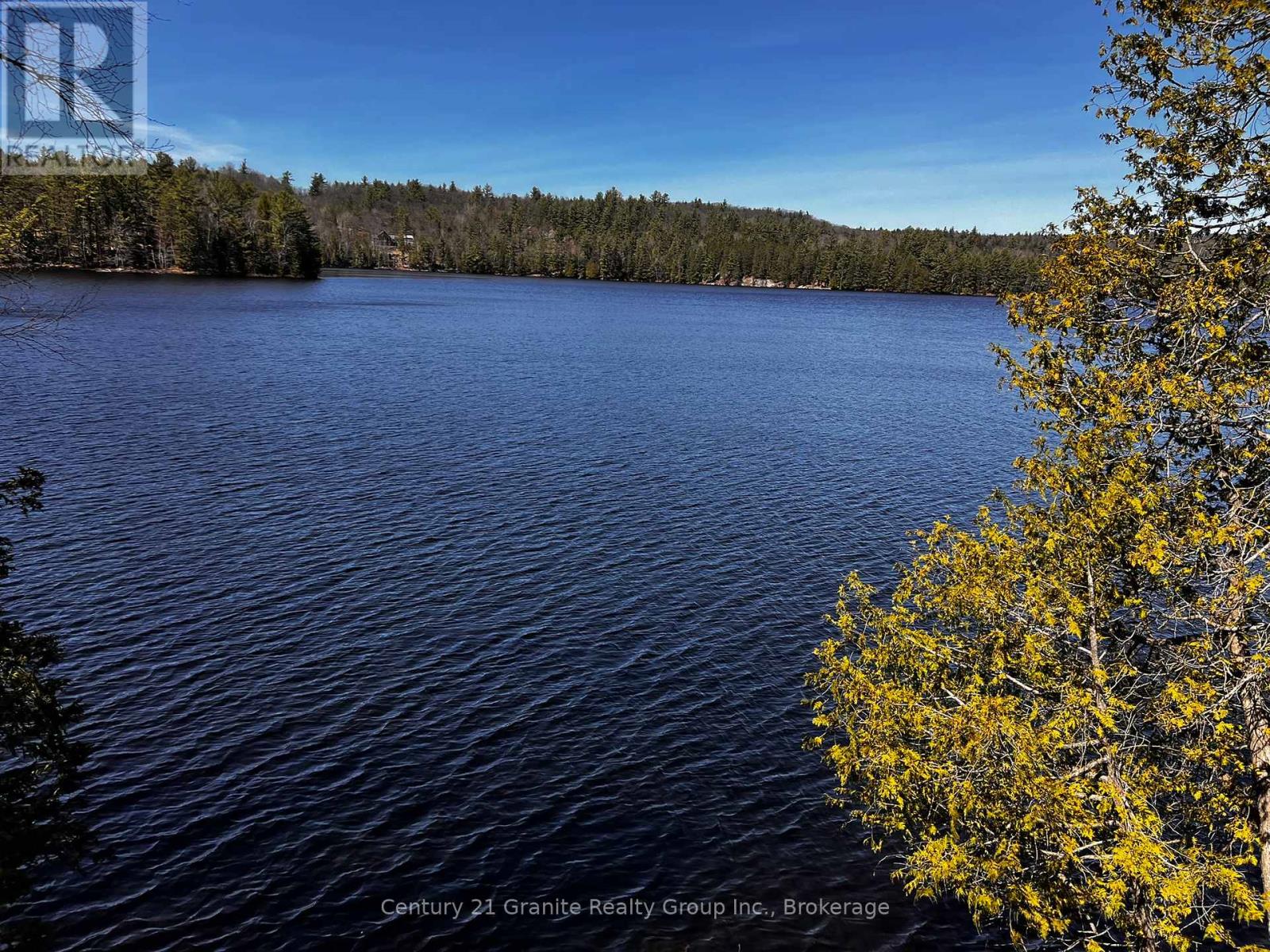 1208 Reg's Trail, Dysart Et Al, Ontario  K0M 1S0 - Photo 39 - X12151591