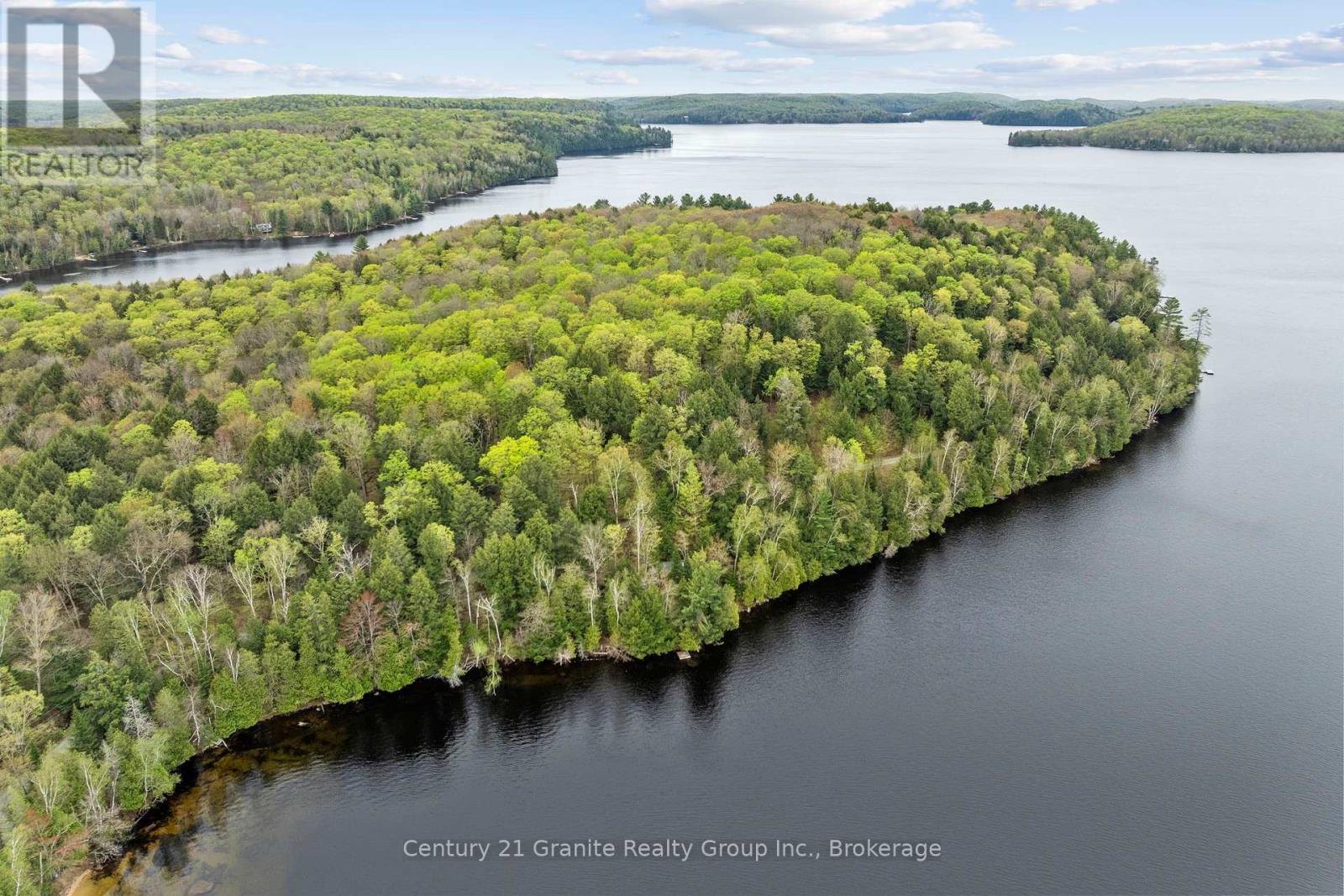 1208 Reg's Trail, Dysart Et Al, Ontario  K0M 1S0 - Photo 8 - X12151591
