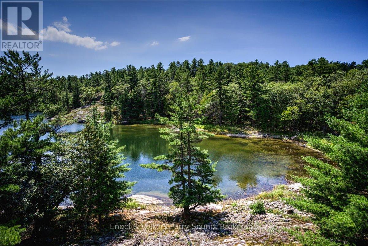 1 Loon Bay, Carling, Ontario  P0G 1G0 - Photo 36 - X12154337