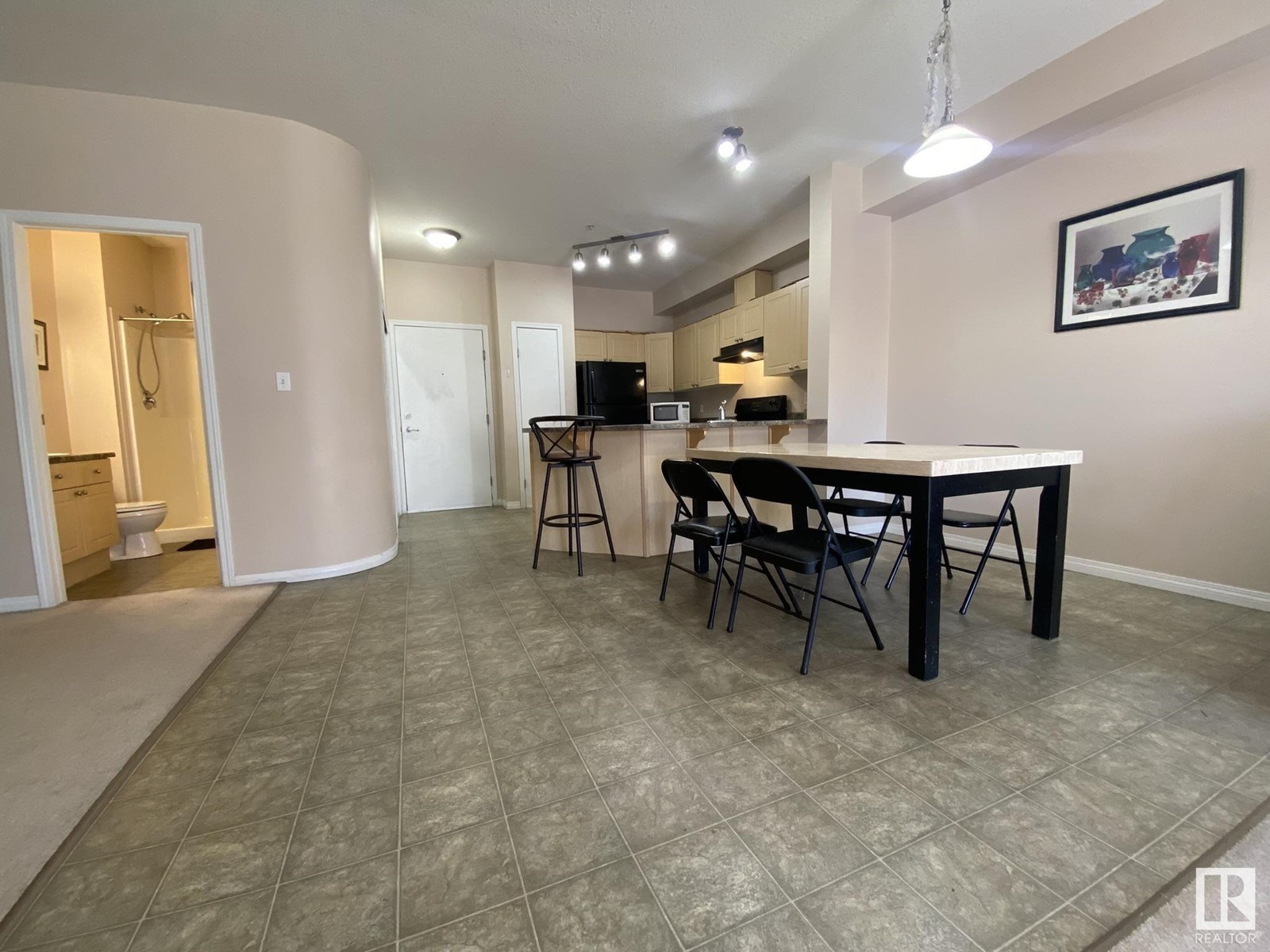 #219 4304 139 Av Nw, Edmonton, Alberta  T5Y 0H6 - Photo 10 - E4429567