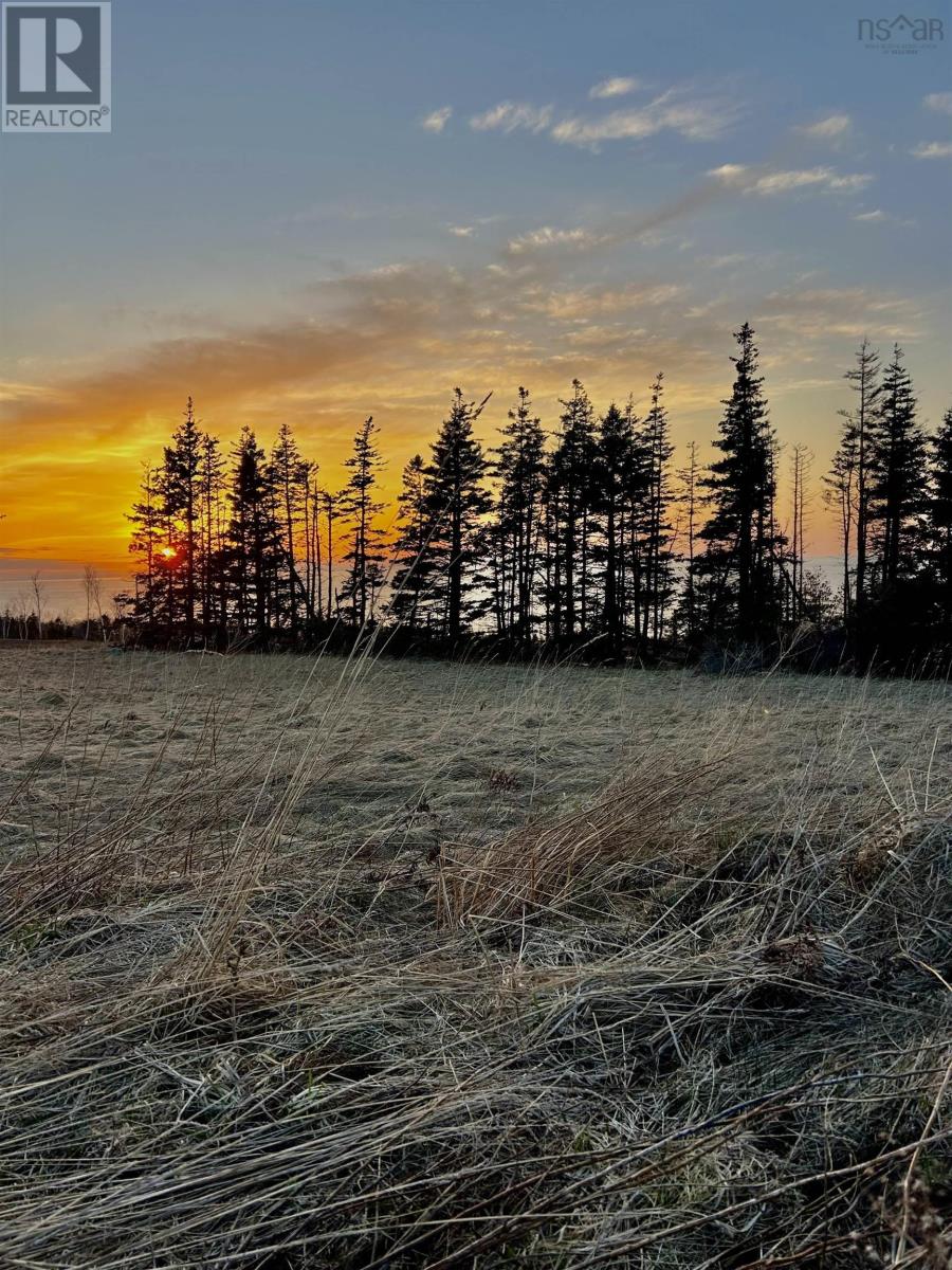 Lot 4 Broad Cove Banks Road, Inverness, Nova Scotia  B0E 1N0 - Photo 3 - 202511318