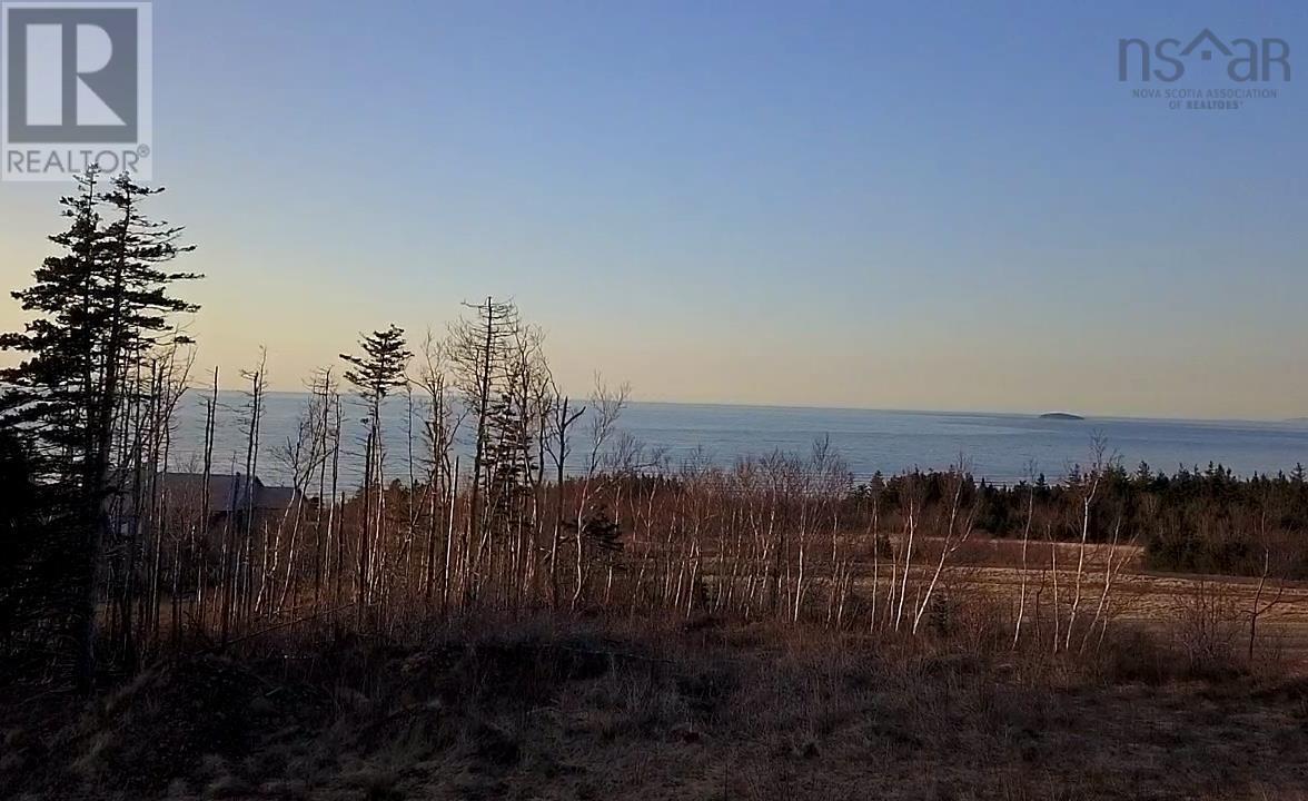 Lot 4 Broad Cove Banks Road, Inverness, Nova Scotia  B0E 1N0 - Photo 8 - 202511318