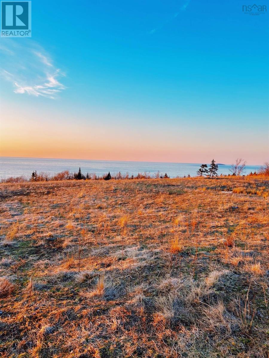 Lot 4 Broad Cove Banks Road, Inverness, Nova Scotia  B0E 1N0 - Photo 1 - 202511318