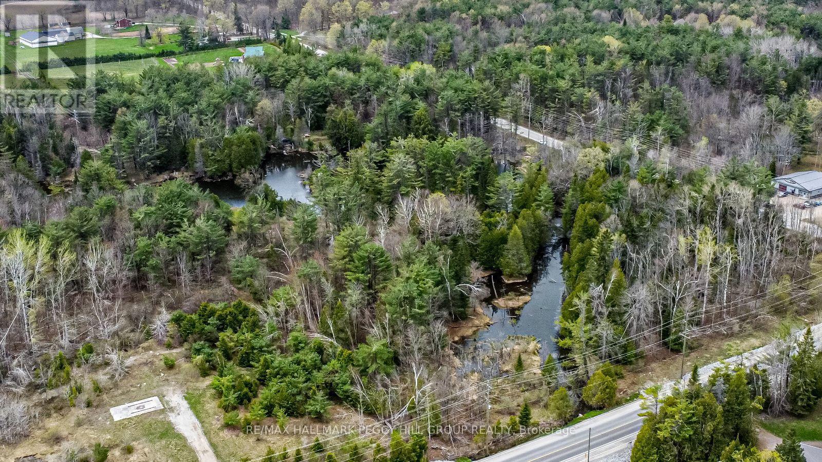 4016 Carlyon Line, Severn, Ontario  L3V 0W8 - Photo 5 - S12154151