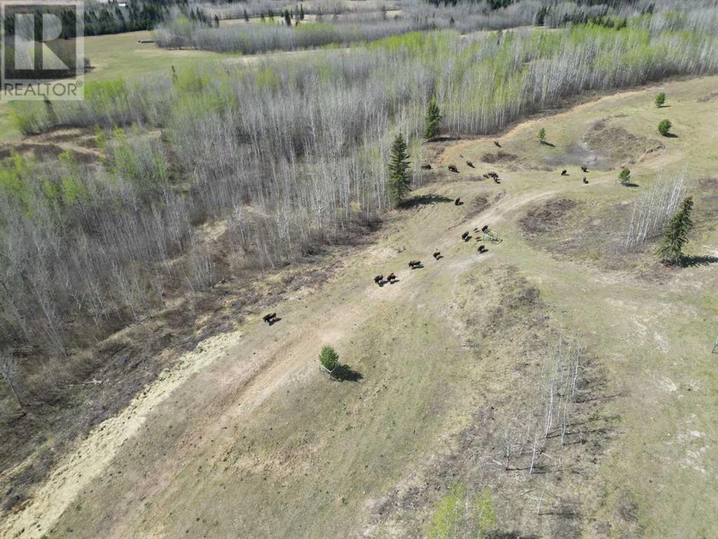 52, 654036 Rge Rd 222, Athabasca, Alberta  T9S 2A5 - Photo 14 - A2222001