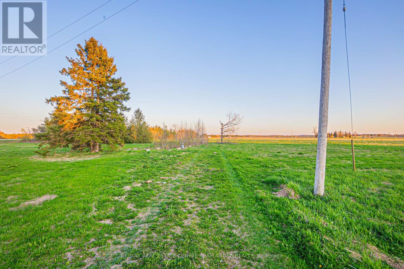 12 - 393330 County Road, Amaranth, Ontario  L9W 0N1 - Photo 5 - X12154112