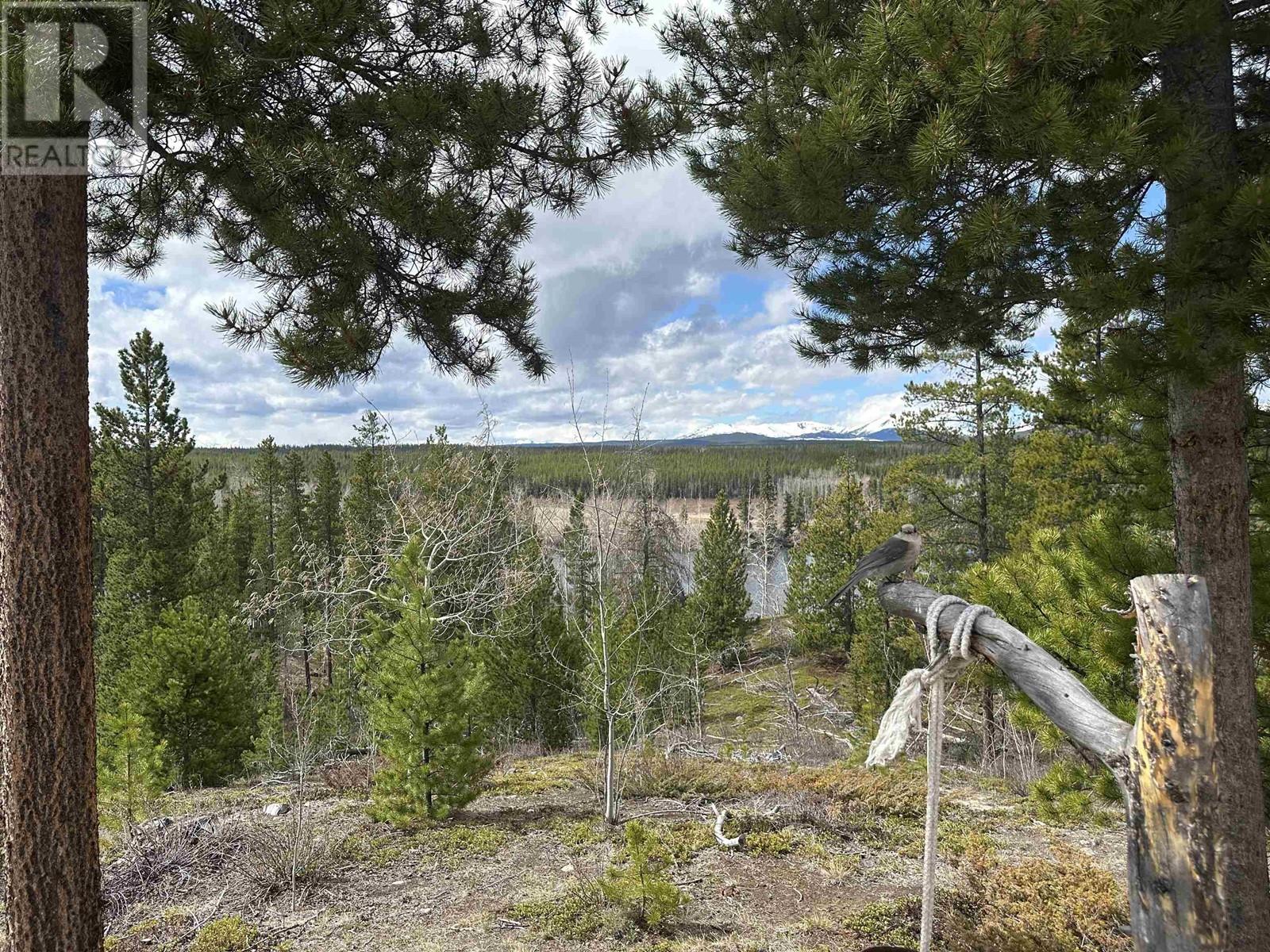 1578 Nimpo Creek Road, Williams Lake, British Columbia  V0L 1R0 - Photo 30 - R2949037