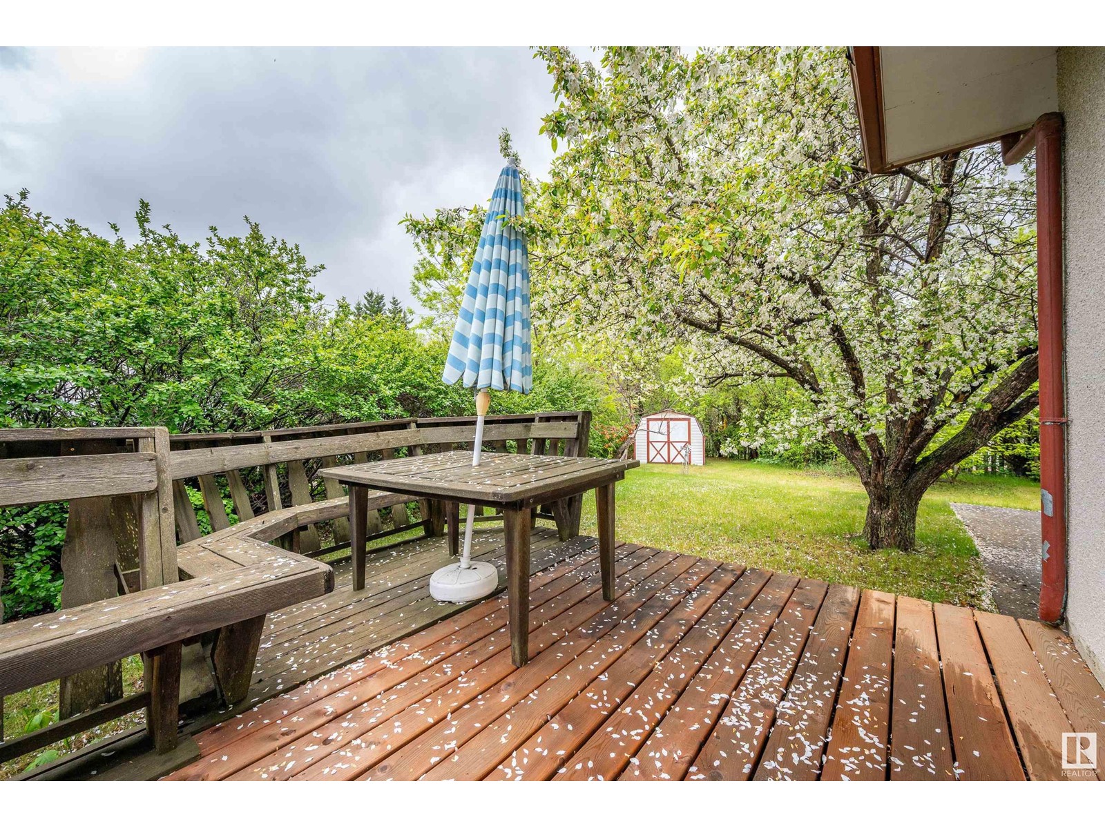 27 Sycamore St, Sherwood Park, Alberta  T8A 2C1 - Photo 37 - E4436933