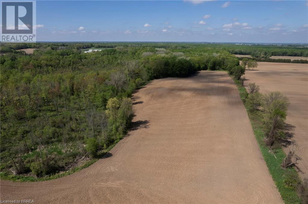 274 Thirteenth Concession Road, Burford, Ontario  N0E 1A0 - Photo 9 - 40727815