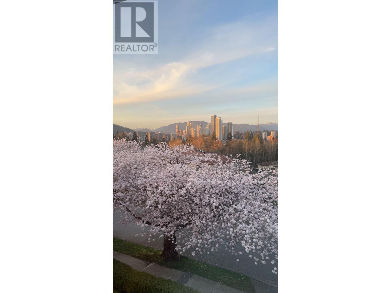 9116 Briar Road, Burnaby, British Columbia  V3N 4W8 - Photo 38 - R3003192