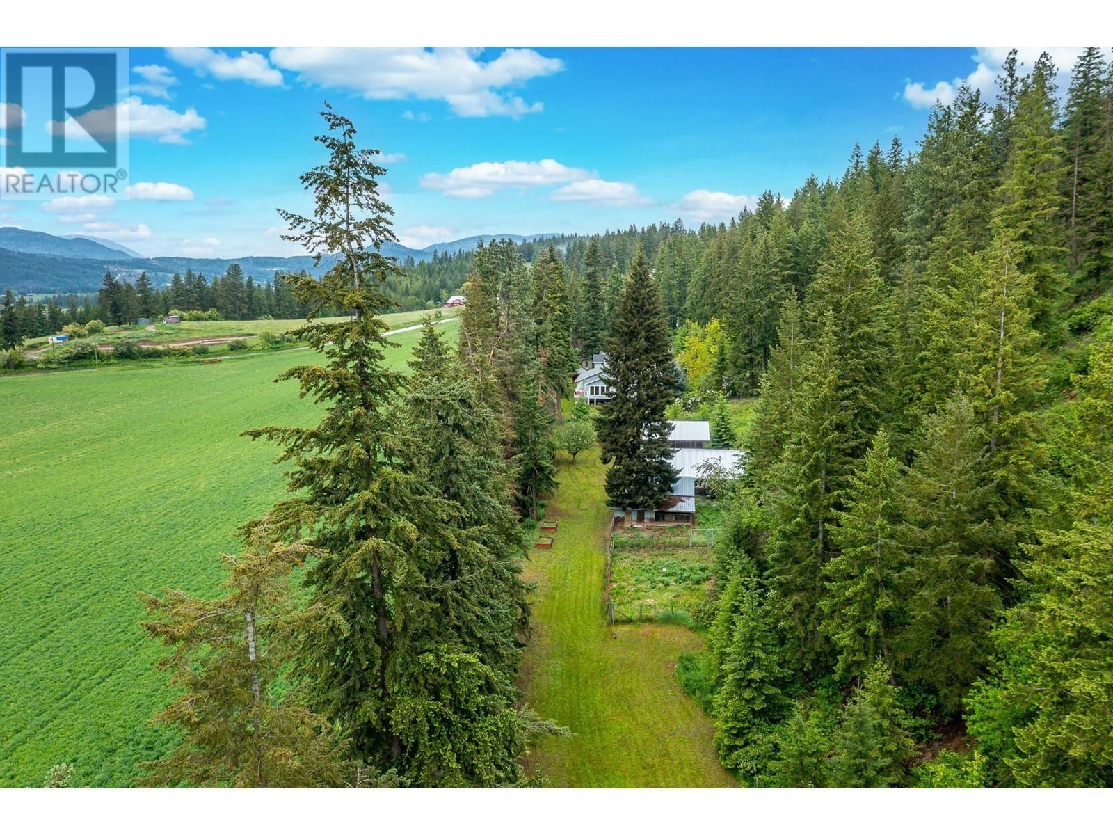 167 Brash-Allen Road, Enderby, British Columbia  V0E 1V4 - Photo 50 - 10347935