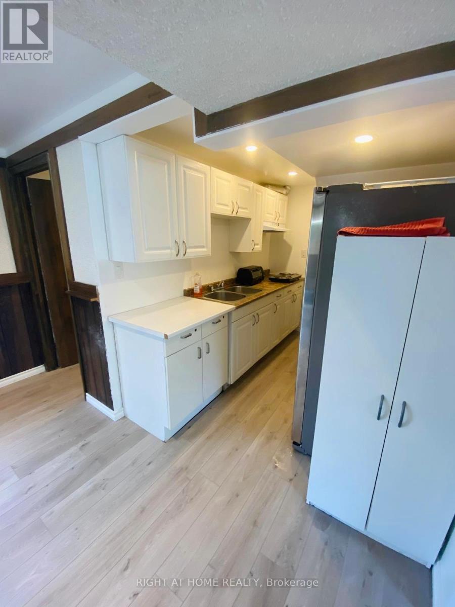 72 Underhill Crescent, Kitchener, Ontario  N2A 2S8 - Photo 40 - X12154608
