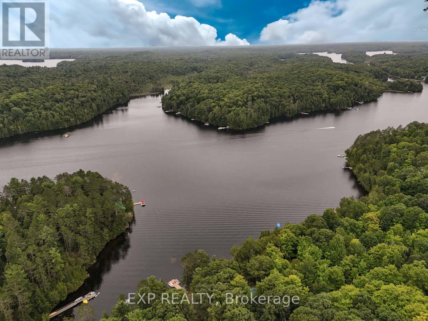 273 Fire Route 330 S, Trent Lakes, Ontario  K0M 2A0 - Photo 6 - X12154626