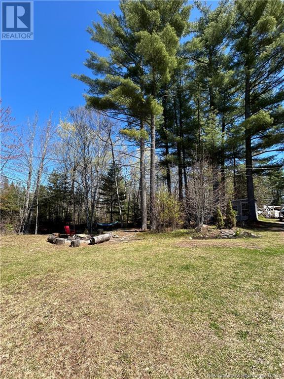 1256 Route 10, Noonan, New Brunswick  E3A 8R1 - Photo 26 - NB118667