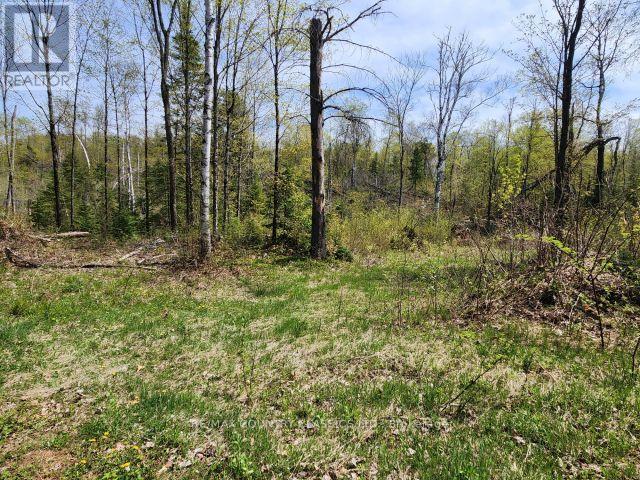 2910 Weslemkoon Lake Road, Tudor & Cashel, Ontario  K0L 1W0 - Photo 16 - X12148524