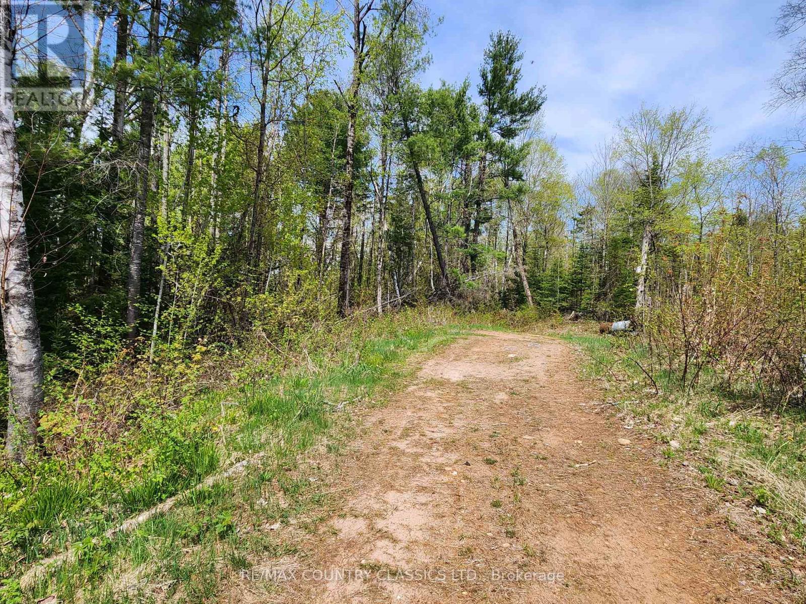 2910 Weslemkoon Lake Road, Tudor & Cashel, Ontario  K0L 1W0 - Photo 20 - X12148524