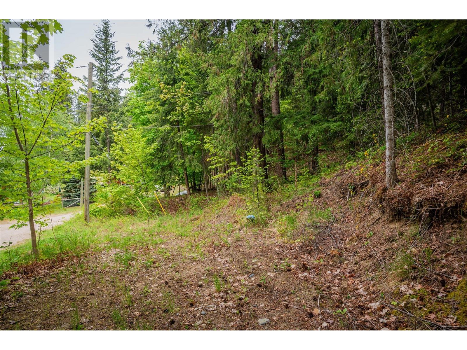 1102 31a Highway, New Denver, British Columbia  V0G 1S0 - Photo 25 - 10347416
