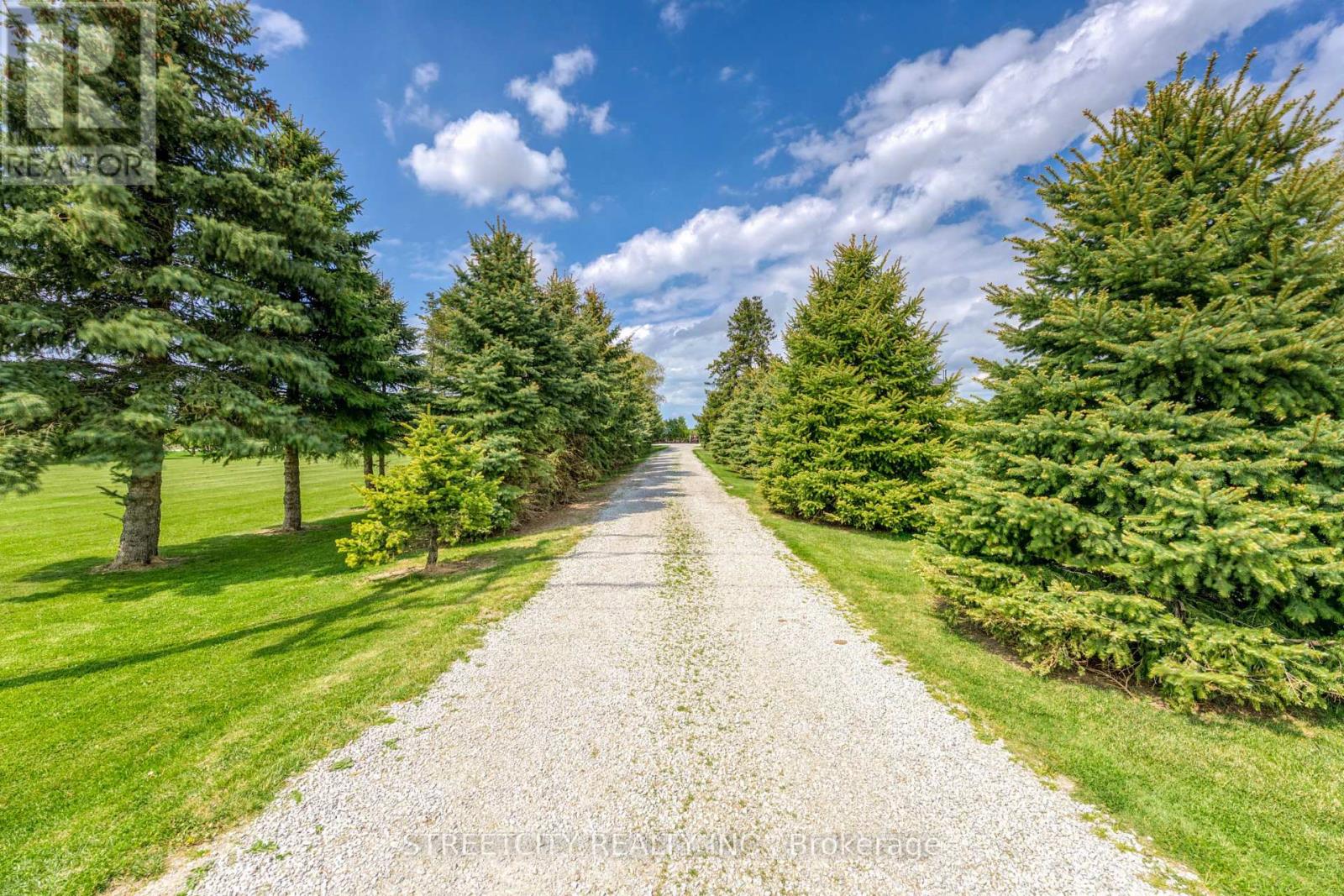 5458 Douglas Line, Plympton-Wyoming, Ontario  N0N 1J0 - Photo 3 - X12154876