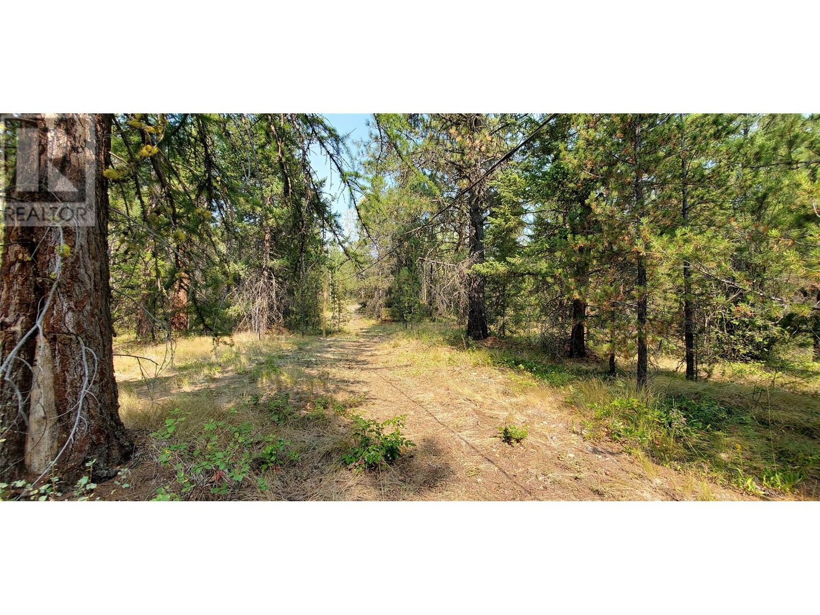 1670 Mt Baldy Road, Rock Creek, British Columbia  V0H 1Y0 - Photo 46 - 10348311