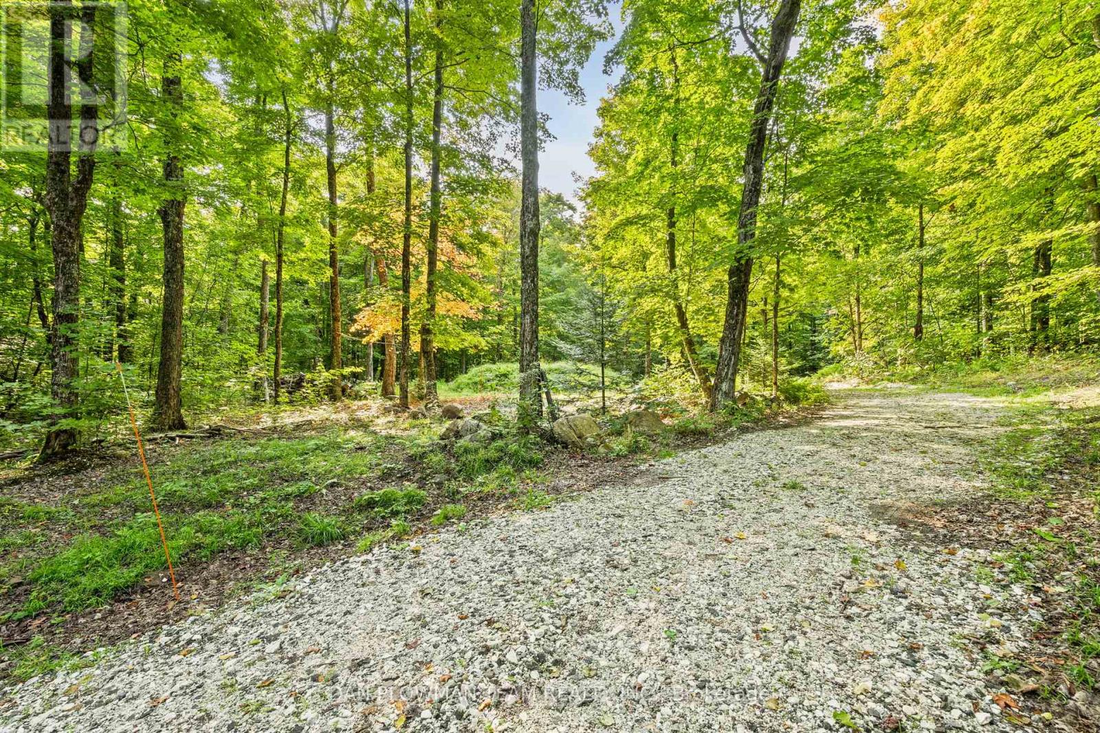1409 Basshaunt Lake Road, Dysart Et Al, Ontario  K0M 1M0 - Photo 18 - X12154674
