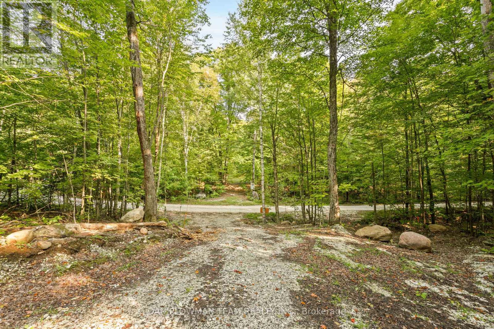 1409 Basshaunt Lake Road, Dysart Et Al (Guilford), Ontario  K0M 1M0 - Photo 19 - X12154674