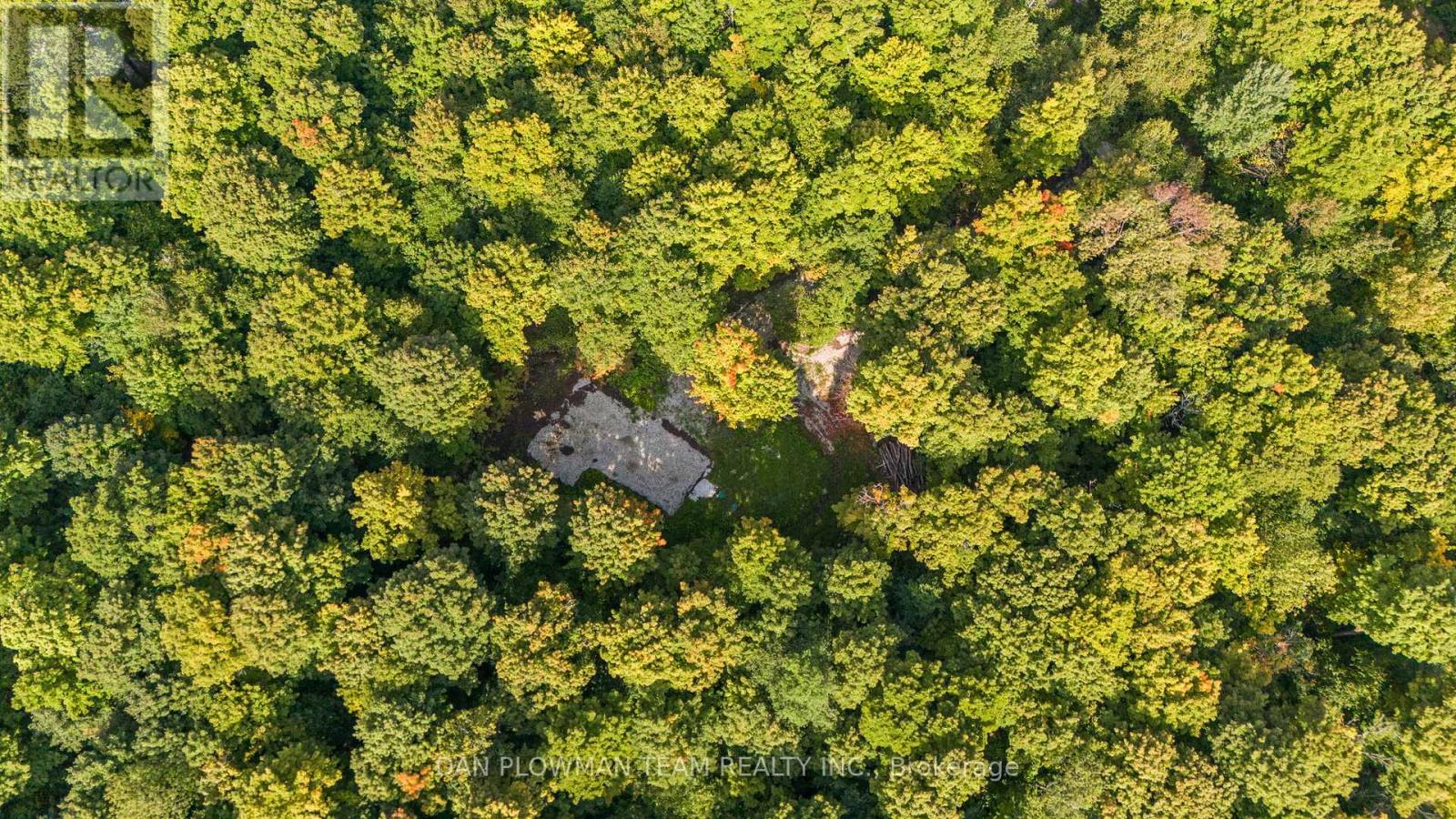 1409 Basshaunt Lake Road, Dysart Et Al (Guilford), Ontario  K0M 1M0 - Photo 2 - X12154674