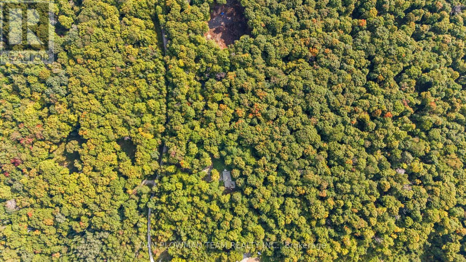 1409 Basshaunt Lake Road, Dysart Et Al (Guilford), Ontario  K0M 1M0 - Photo 24 - X12154674