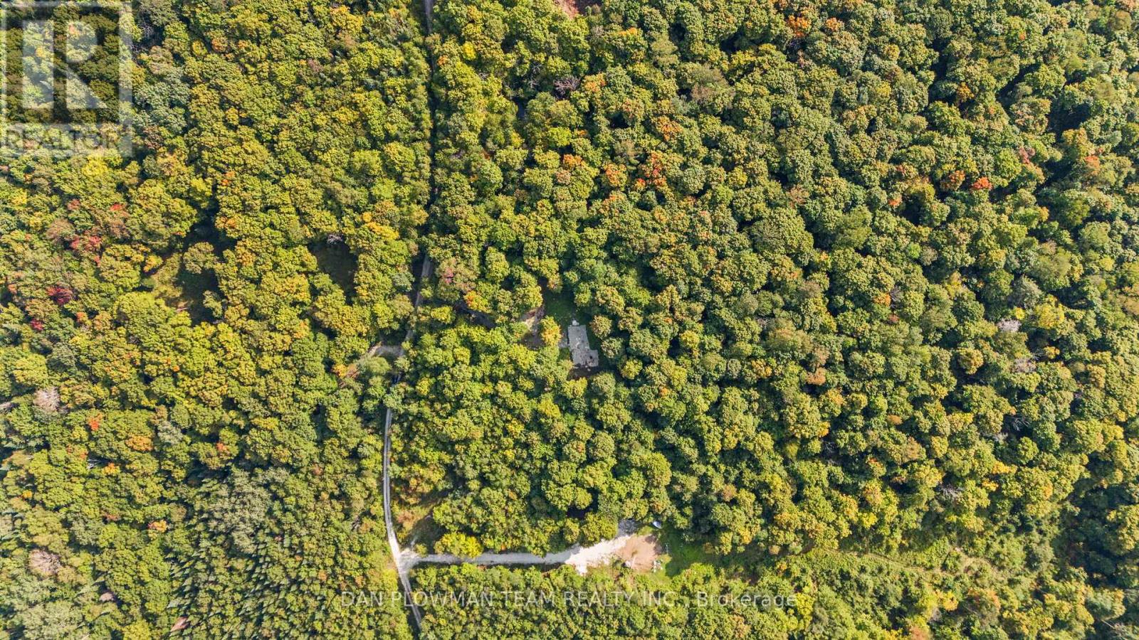 1409 Basshaunt Lake Road, Dysart Et Al (Guilford), Ontario  K0M 1M0 - Photo 6 - X12154674