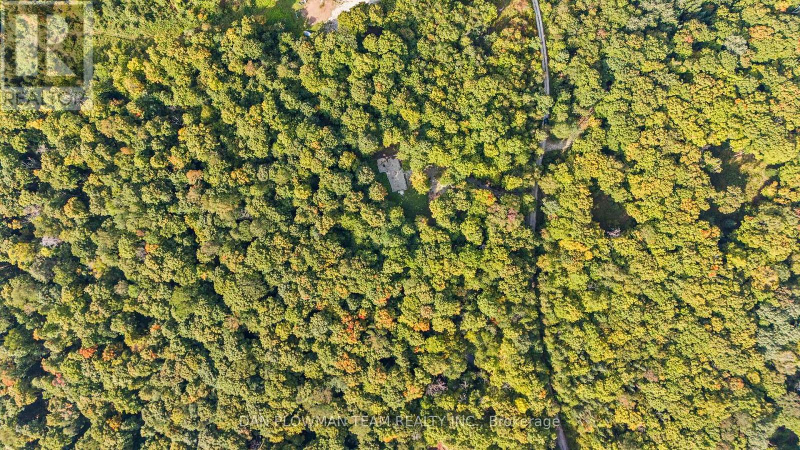 1409 Basshaunt Lake Road, Dysart Et Al (Guilford), Ontario  K0M 1M0 - Photo 7 - X12154674