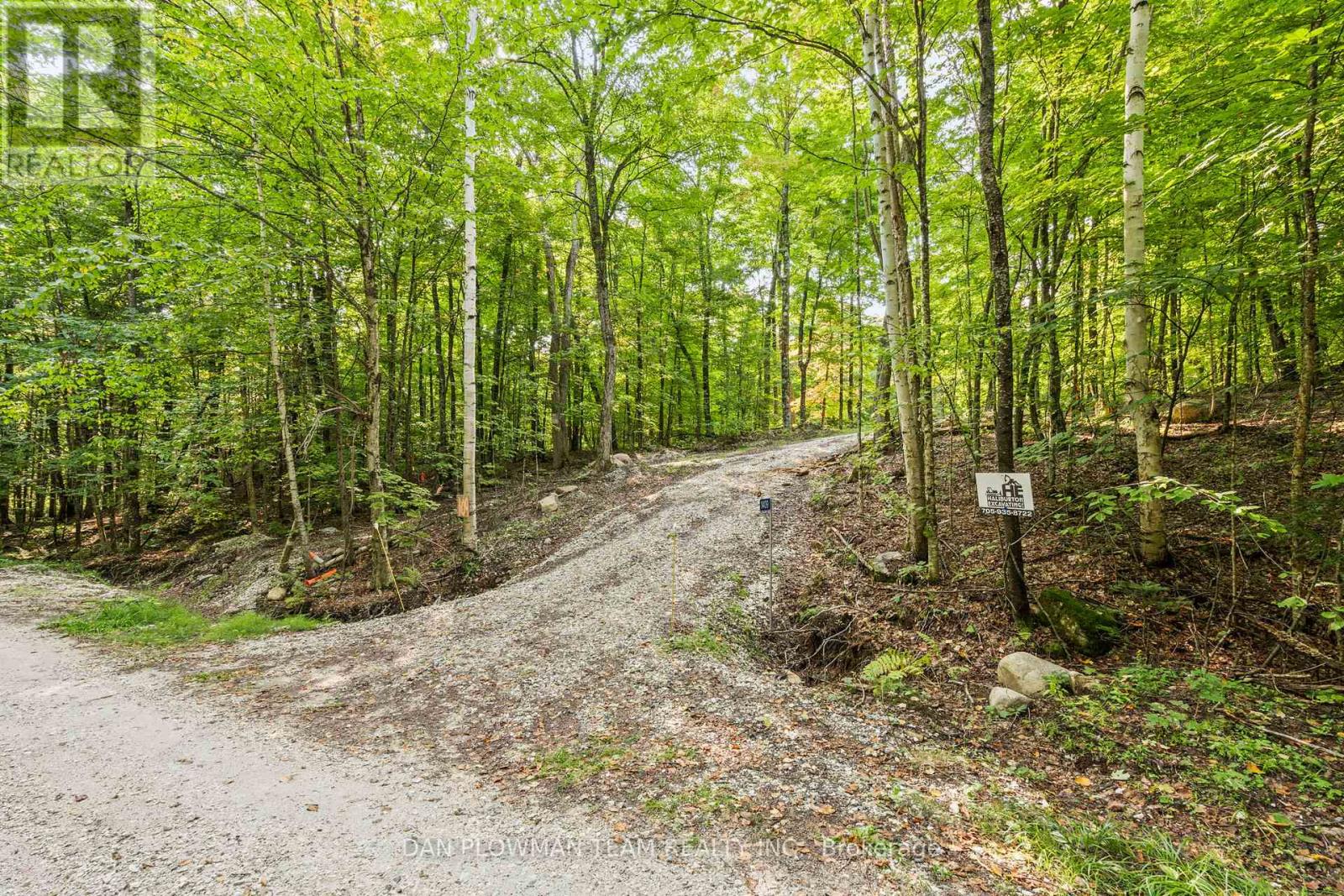 1409 Basshaunt Lake Road, Dysart Et Al, Ontario  K0M 1M0 - Photo 8 - X12154674