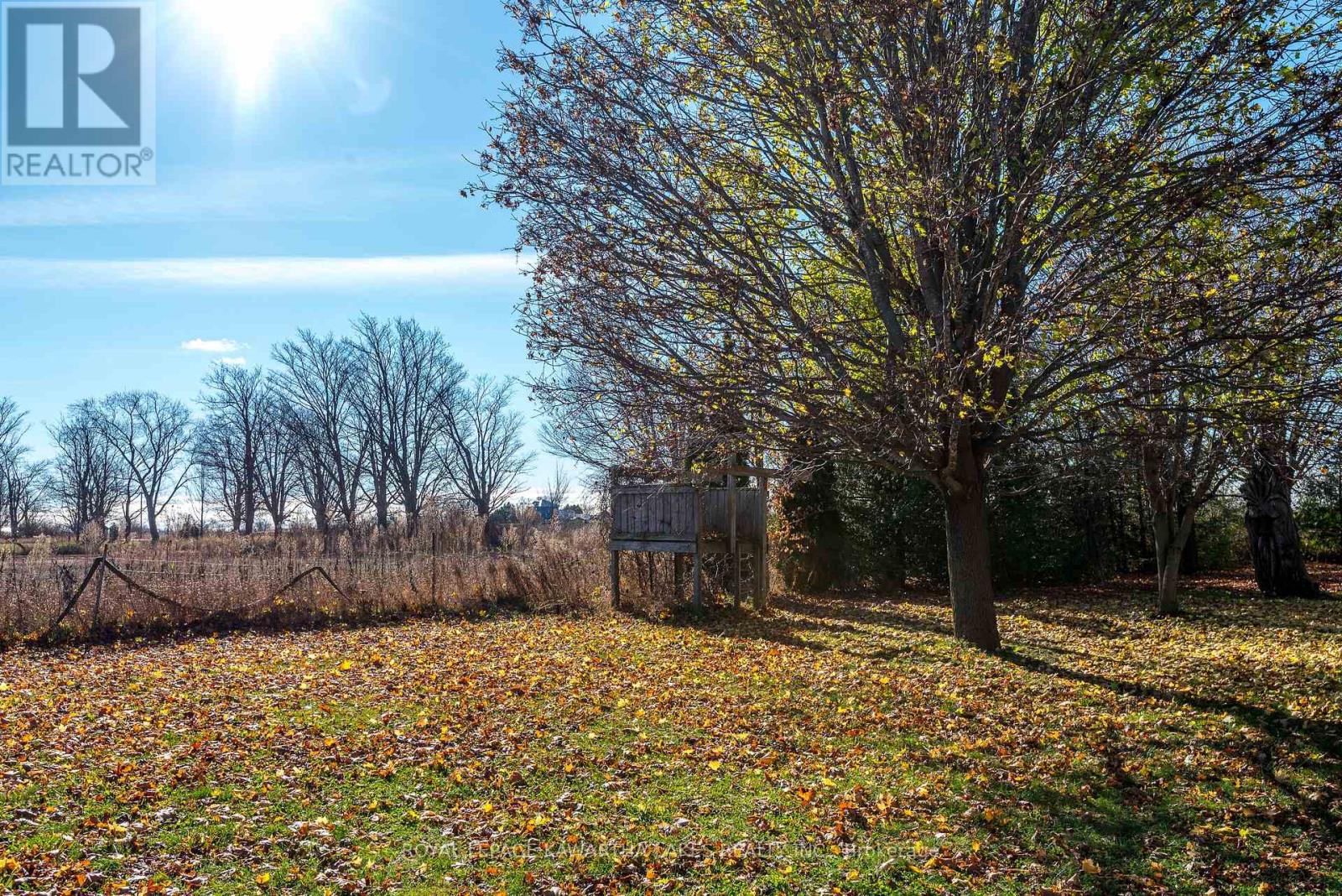 178 Grasshill Road, Kawartha Lakes, Ontario K0M 2T0 - Photo 35 - X12154957
